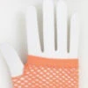 Forum Novelties Fishnet Gloves - Adult Accessory -Forum Novelties Sales 0aa0e12d 9fb6 4b19 8818 f8c90b0ff62e 1.9ff8fbc6fa2da4137e7376f6641a585c