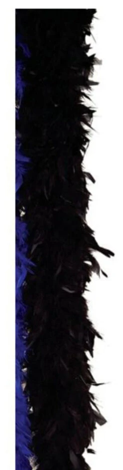 Forum Novelties 6-foot Feather Boa - Black