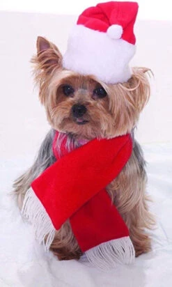 Forum Novelties Santa Hat And Scarf Set For Dogs And Cats