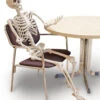 Forum Novelties 5Ft. Poseable Skeleton