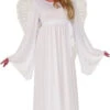 Forum Novelties Angel - Plus Size - Adult Costume -Forum Novelties Sales F78450