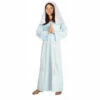 Forum Novelties Biblical Times Mary Child’s Costume