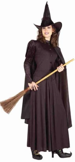 Forum Novelties Classic Witch Costume