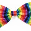 Forum Novelties Rainbow Bow Tie -Forum Novelties Sales img proxy 7c8ca47b c1e2 471e 9858 aad36fbbbafe