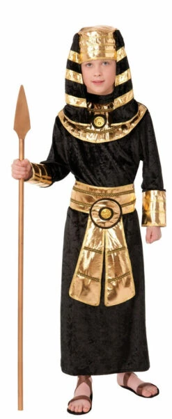Forum Novelties Egyptian Pharaoh Child Costume