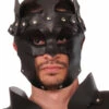 Forum Novelties Medieval Fantasy Face Mask