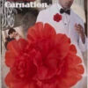 Forum Novelties Vintage Hollywood Carnation