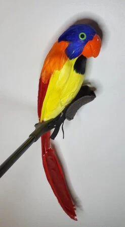 Forum Novelties Feathered Parrot W- Ties