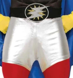 Forum Novelties Adult Hero Shorts